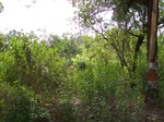 1726520042008(5).JPG