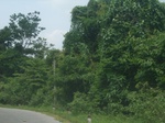 2012-09-08_20-00-48_RIMG0094.JPG