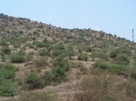 1784126042008(21).JPG