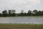 2022-06-11_18-08-28_249A8B34-013E-4144-9AD7-A852E4994F48.jpeg