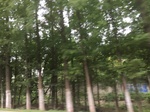 2017-09-10_20-46-04_DE780083-8D44-4782-9700-596610860B5C.jpg