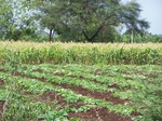 1768522042008(65).JPG