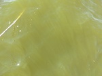 2012-09-21_14-26-19_CIMG0029.JPG