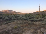 2017-09-04_08-28-55_D7819459-487D-4E71-ACD6-9E283056750B.jpg