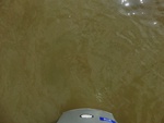 58088CIMG2382.JPG