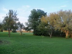 2012-09-26_17-41-57_IL-LIV-17-5.jpg