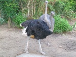 2012-10-17_20-58-43_424.JPG