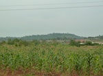 18531P1000367.JPG