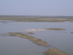 4659RIMG0085.JPG