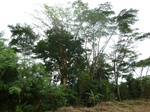 20006P1010856.JPG