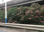 2017-09-12_05-00-41_52456C4C-1CA9-4B21-BA59-E22BF6047A55.jpg