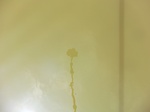 58487CIMG2937.JPG