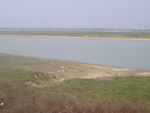 4603RIMG0042.JPG