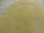 2012-09-21_14-25-44_CIMG0144.JPG