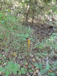 2012-09-24_10-40-12_DSC03130.JPG