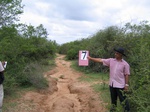 821208-road-buldozera.jpg