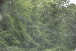 2022-06-12_15-42-33_D4A62024-37E0-4EF0-B780-2968A9F96922.jpeg