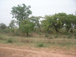 3909RIMG0213.JPG