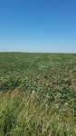 2017-07-06_08-07-30_IMG_20170705_135848.jpg
