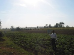 7814gt045a-cropland-rainfed-mixed.jpg