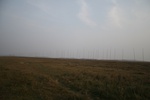 4269IMG_8908.JPG