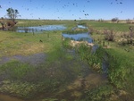 2017-07-13_07-54-41_8D7D00AE-4DD1-41D5-B577-241E4AC5F45C.jpg