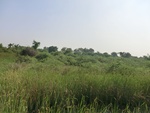 41168CIMG8005.JPG