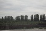 2019-10-16_11-58-28_4E8A3969.JPG