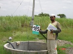 70310185d-irrigated-supplemental-groundwater-sugarcane.jpg