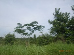 3729RIMG0032.JPG