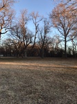 2020-12-10_07-55-23_2020-12-10-7-54-18.jpg
