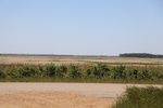 2022-06-11_15-46-26_4F3D45C0-3490-4612-92FF-49423BD28094.jpeg
