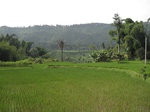 13700IMG_3961.JPG