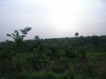 4075RIMG0380.JPG