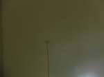 58484CIMG2934.JPG