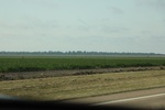 2022-06-11_17-39-29_BDACE3D0-CD9F-47F5-8E5C-A2E549839172.jpeg
