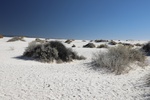 2022-01-21_16-29-56_4E8A6256.JPG