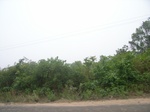 3869RIMG0173.JPG