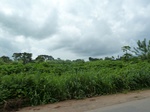 18259P1000095.JPG