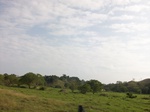 5624100_1050.JPG