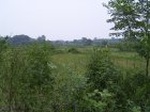 863R0015392_small.jpg
