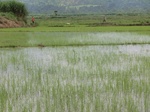 2012-09-07_10-01-31_CIMG6611.JPG