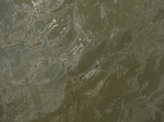 58608CIMG3058.JPG
