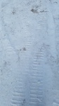 2018-03-02_14-38-54_IMG_20180302_143708.jpg