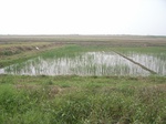 146Picture 120.jpg