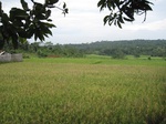 16162IMG_4920.JPG