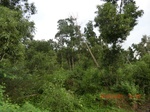 2012-09-26_20-50-08_CIMG1037.JPG