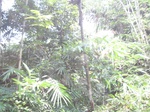 15254IMG_4076.JPG