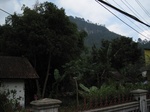 15300IMG_4137.JPG
