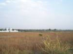 1681101052008(25).JPG